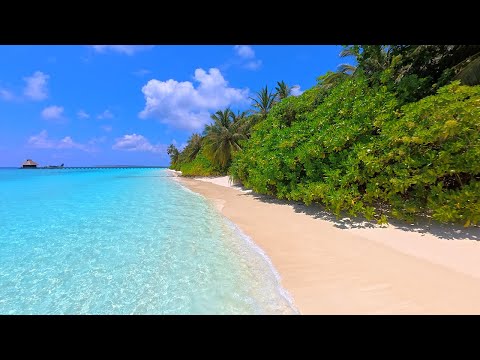 🏝 Turquoise Shoals: The Most Relaxing Waves in The World