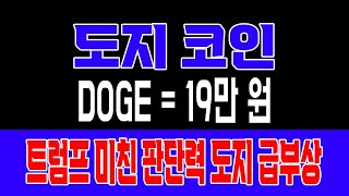 [도지코인 전망]트럼프 미친 판단력 도지 극부상 #업비트시황 #코인시황 #급등코인추천 #도지대응