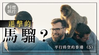 【平行時空的香港5之5】直布羅陀有座馬騮山 遊客餵猴激嬲導遊 「佢唔係寵物」 #平行時空的香港
