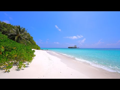 🏝 Scenic Beach View: Island Relaxation From Maldives