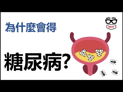 為什麼會得糖尿病? |糖尿病高風險族群?｜壞壞疾病為什麼系列