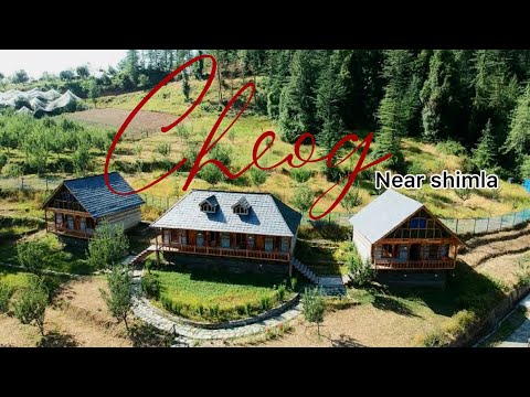 Exploring cheog, near shimla (beautiful stay)