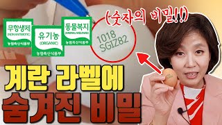 계란, 이것만 알면 제대로 고를 수 있다! 계란에 쓰인 숫자와 라벨에 숨겨진 비밀
