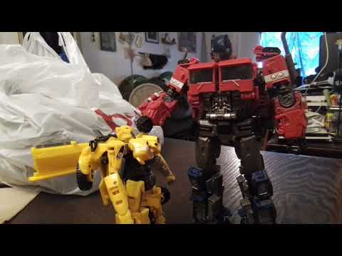 Ss rotb bumblebee pose test