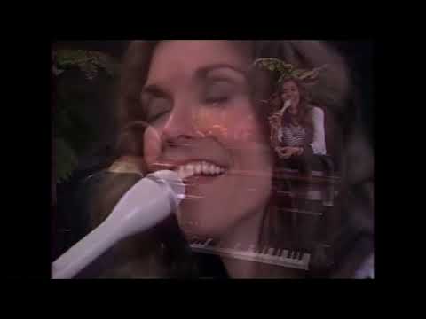 Carpenters - Goodbye To Love (The Collection) - Mega Mix by Brian Butler (1991)