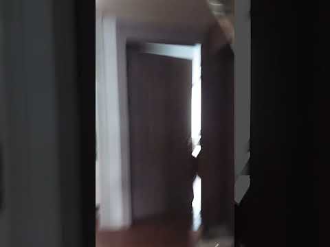 사촌형 조지기2