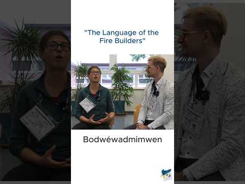 What it takes to get a PhD in linguistics