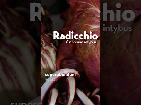 A bitter leaf with big flavor, radicchio is the ‘it girl’ of winter salads #superabundant
