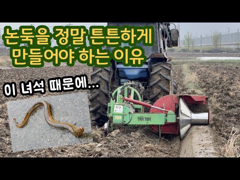 Rice Farming in Korea, Most Important Work in Spring