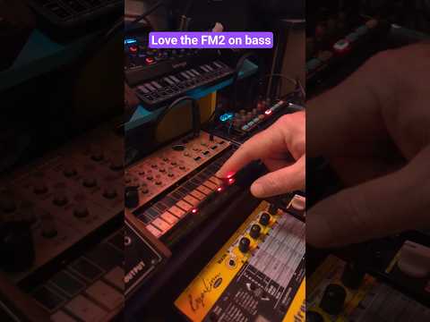 Dank bass on this jam from the FM2