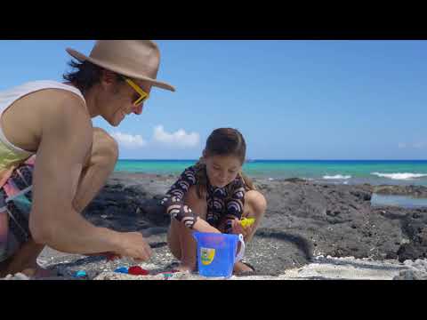 $6.1 Million Hawaii Luxury Beach Home in Puako - 4K