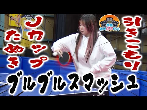 メグ覚醒!! 実戦よりも熱い攻防戦が始まった【青春自由ぱち切符】13か月目(中編) #木村魚拓 #くり #橘アンジュ
