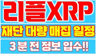 [리플 XRP]🔥재단이 대량 매집 일정을 발표했다!! 3분 전 긴급 정보 입수!! 단독 공개합니다!!🔥