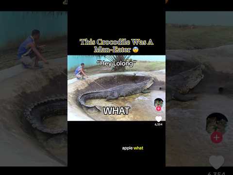 This Crocodile Was A Man-Eater 😰 #interesting