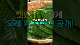 깻잎 싱싱하게 오래 먹는 꿀팁 공개! #생활꿀팁