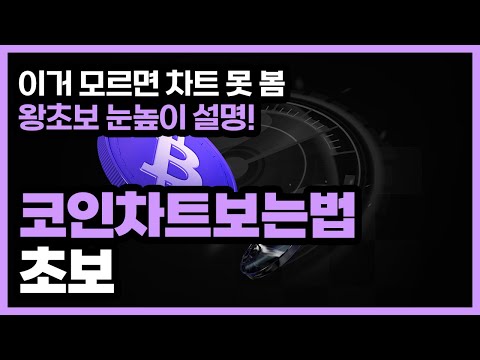 코인 차트 보는 법 & 바이비트 차트 설정법