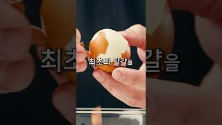 닭이 먼저일까 달걀이 먼저일까