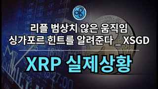 리플사와 XRP.. 거대한 파도가 준비되고 있다.