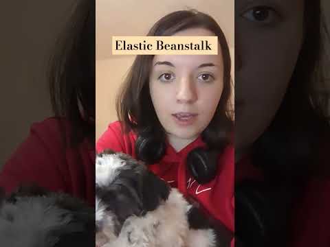 Elastic Beanstalk #elasticbeanstalk #awsservices #learnaws #awsblog #awscertification  #awsjob #dog