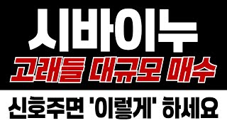 [시바이누 전망] 고래들 대규모 매수 신호 주면 이렇게만 따라하세요 #업비트시황 #코인시황 #급등코인추천 #시바이누 #시바이누대응 #XRP