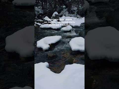 Relaxing sound of gentle river 🌊 #relaxing