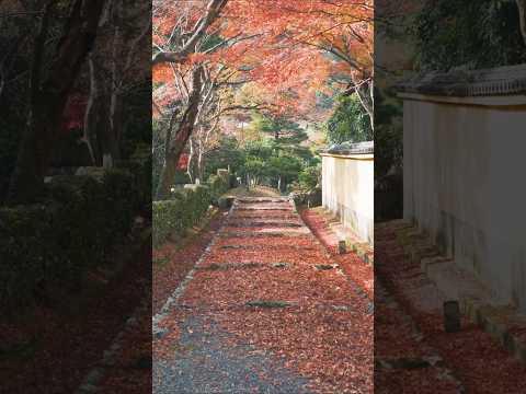 誠の道しるべ ～心が和む癒しピアノ～