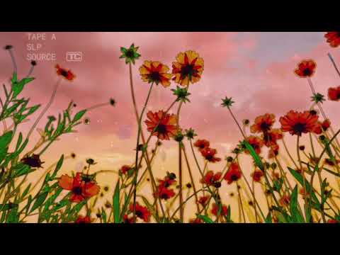 wildflower - summer lofi x chill guitar lofi hiphop | relaxing beats