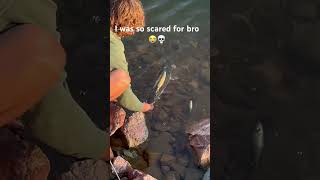 Have you ever lipped a pike? 💀 #pikefishing #bassfishing #fishing #nature #trending #viralvideo