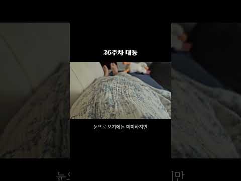 26주차 태동👶🏻
