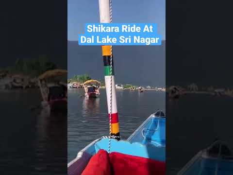 Shikara Ride At Dal Lake Srinagar Kashmir #kashmir #dallake #shikararide