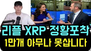 리플 XRP 시작 된 정황 포착됐네요 10,000 XRP 이제 아무나 못사게 될겁니다