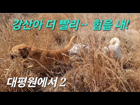 지칠줄 모르는 강산이와 지칠줄 아는 슬기