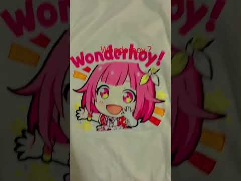 Wonderhoy shirt hehe
