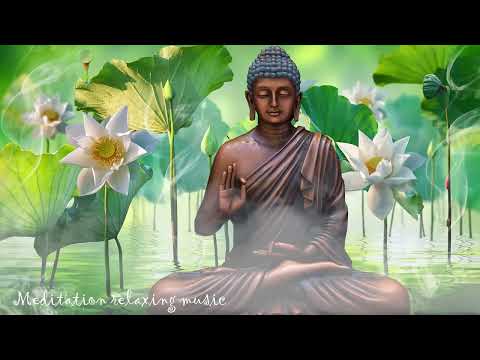 Bamboo Flute Music,Positive Energy Vibration, Cleanse Negative Energy, Healing Music, Meditation