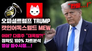 오피셜트럼프 TRUMP 캣인어독스월드 MEW [긴급] 다음주 밈코인 "대폭발" 가능성은...!? 정확도 100% 차트분석, 영상 필수시청..! #코인시황