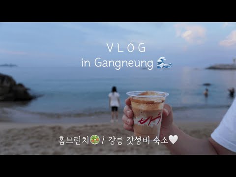 [초등맘 vlog] 강릉여행 Day 1 (순두부짬뽕, 흑임자라떼, 자연산 회, 해양과학교육원 기숙동) | 홈브런치 (크로와상🥐, 아보카도샐러드🥑)
