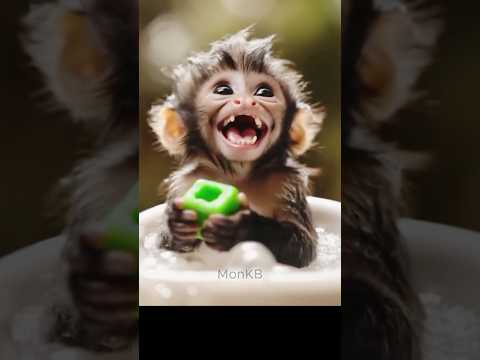 A baby monkey enjoying a bath 😙