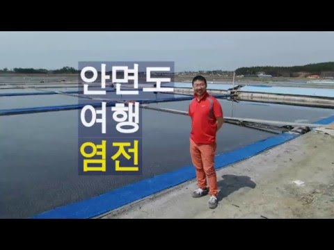 안면도여행 [염전 편] 천일염사가세요