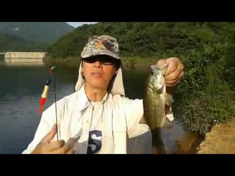 Tai Tam Bass Fishing 2013.10.18
