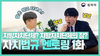 지자체와 지자체장은 다르다❗❗ 자치법규 멘토링 1화