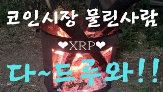 코인시장 물린사람들 다~드루와!! 리플, 스텔라 너만 믿는다.