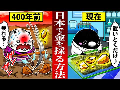 【令和のゴールドラッシュ】日本で金を採掘する衝撃の方法とは【アニメ】