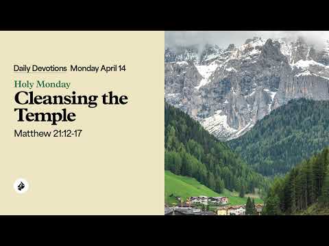 Cleansing the Temple – Daily Devotional