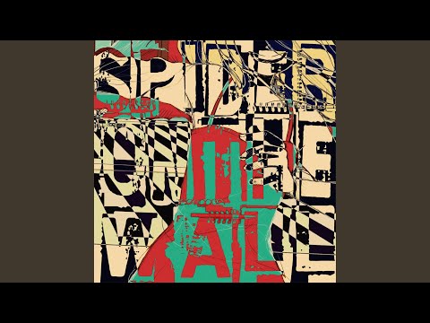 Spider on the Wall
