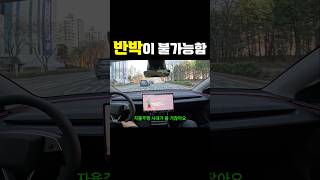 테슬라 모델Y 주니퍼가 넘사벽인 이유