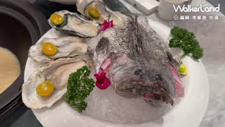 新莊「濤濤」海鮮蒸氣鍋搶先看！新鮮食材「龍虎斑、波士頓龍蝦、沙公沙母」必吃，挑戰新莊人挑剔的嘴。