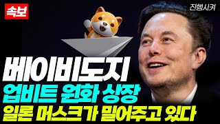 [베이비도지 전망] 베이비도지 업비트 원화 상장?? "일론 머스크가 뒤에서 밀어주고 있다..!" #babydoge