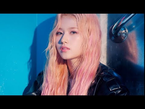 [𝐏𝐥𝐚𝐲𝐥𝐢𝐬𝐭]🎉신곡 포함! 💞트와이스(수록곡포함) 플레이리스트🎵