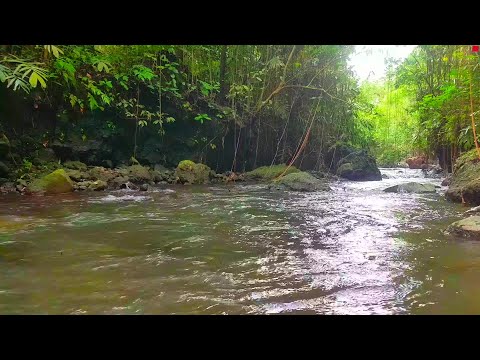 Relaxing River Sound 100% proven to cure stress and mental disorders