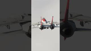 #f14 #Aviation #dcsworld #pc #pcgaming #shorts #gaming #gamingcommunity #youtubeshorts #game #tomcat